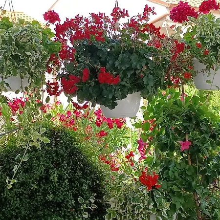 Apartman Andela Pula