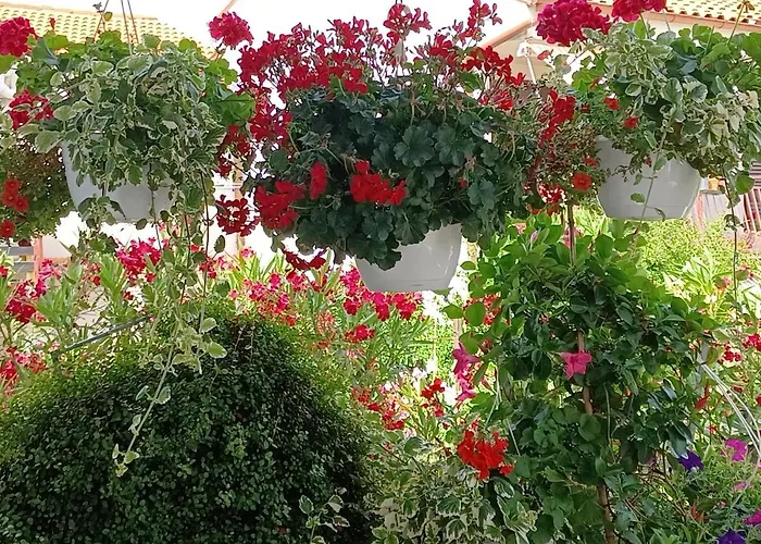 Apartman Andela Pula